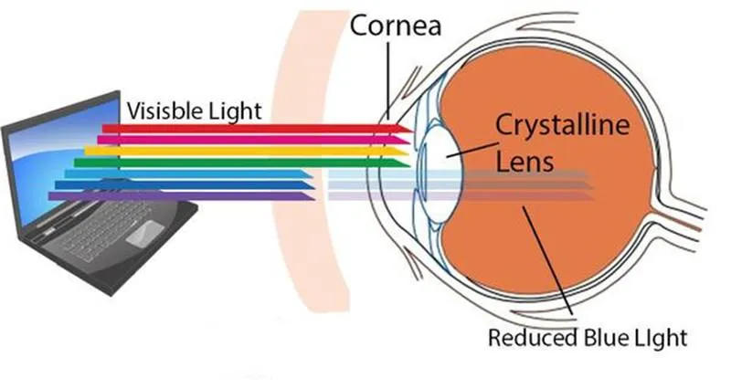 Blue Light Blocking Glasses