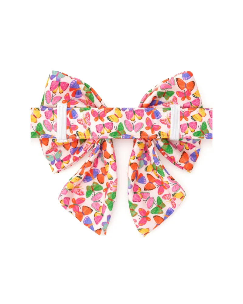 Bright Butterflies Summer Lady Dog Bow