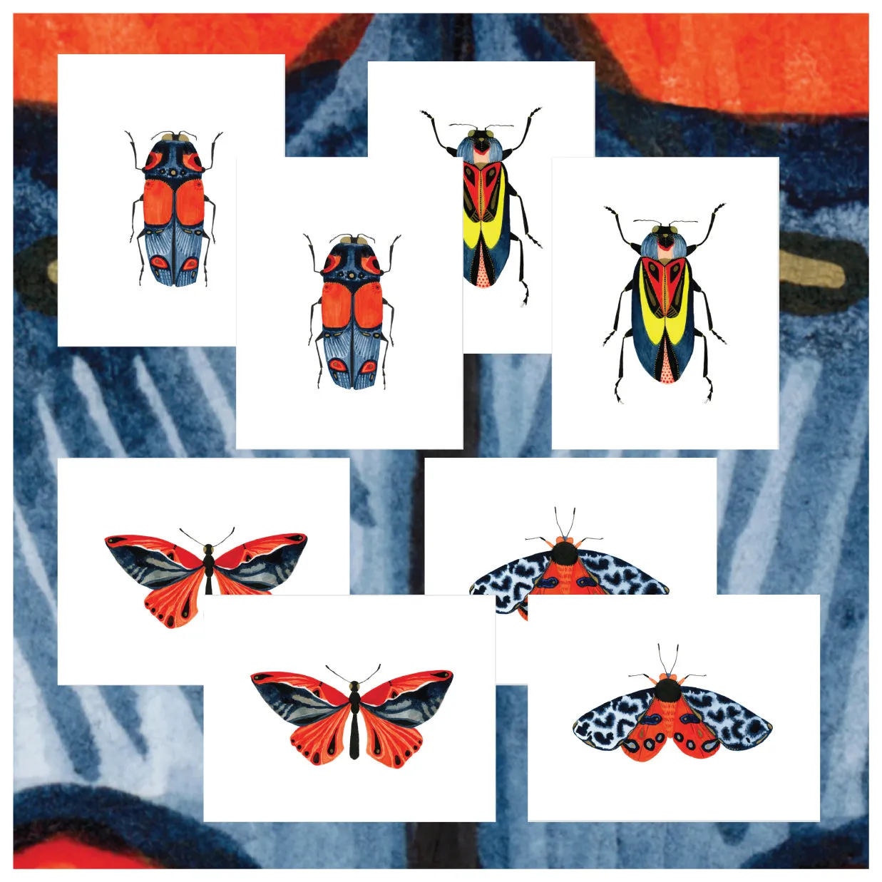 Bugs & Butterflies: Series 1, Boxed Set of 8 Note Cards, 2 each of 4 designs