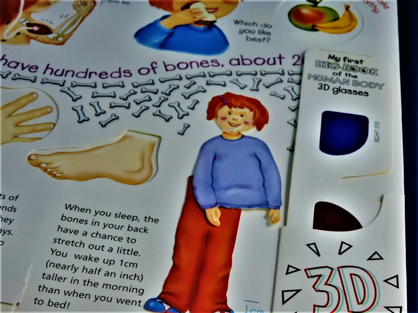 Children's Book - Big Book of the Human Body