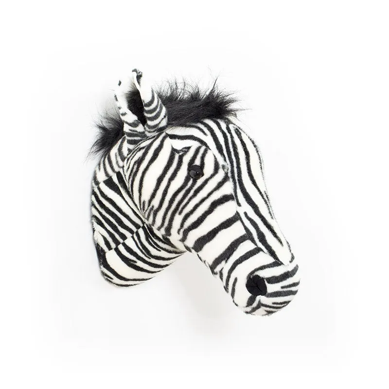 Daniel the zebra