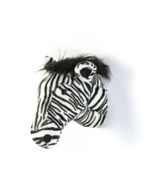 Daniel the zebra