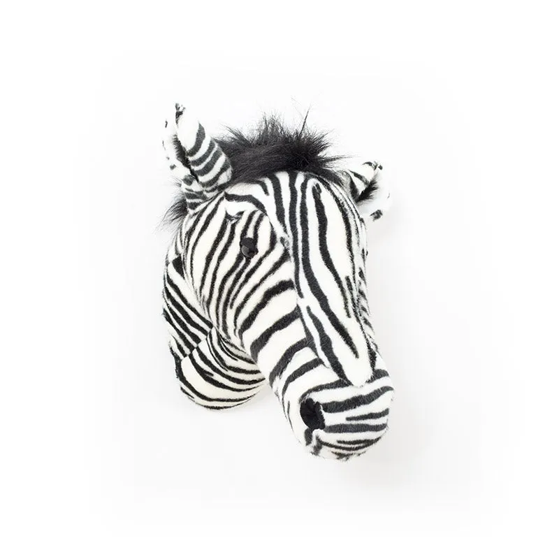 Daniel the zebra