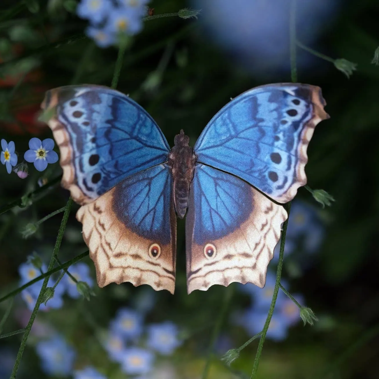 'Lupine' Butterfly Set